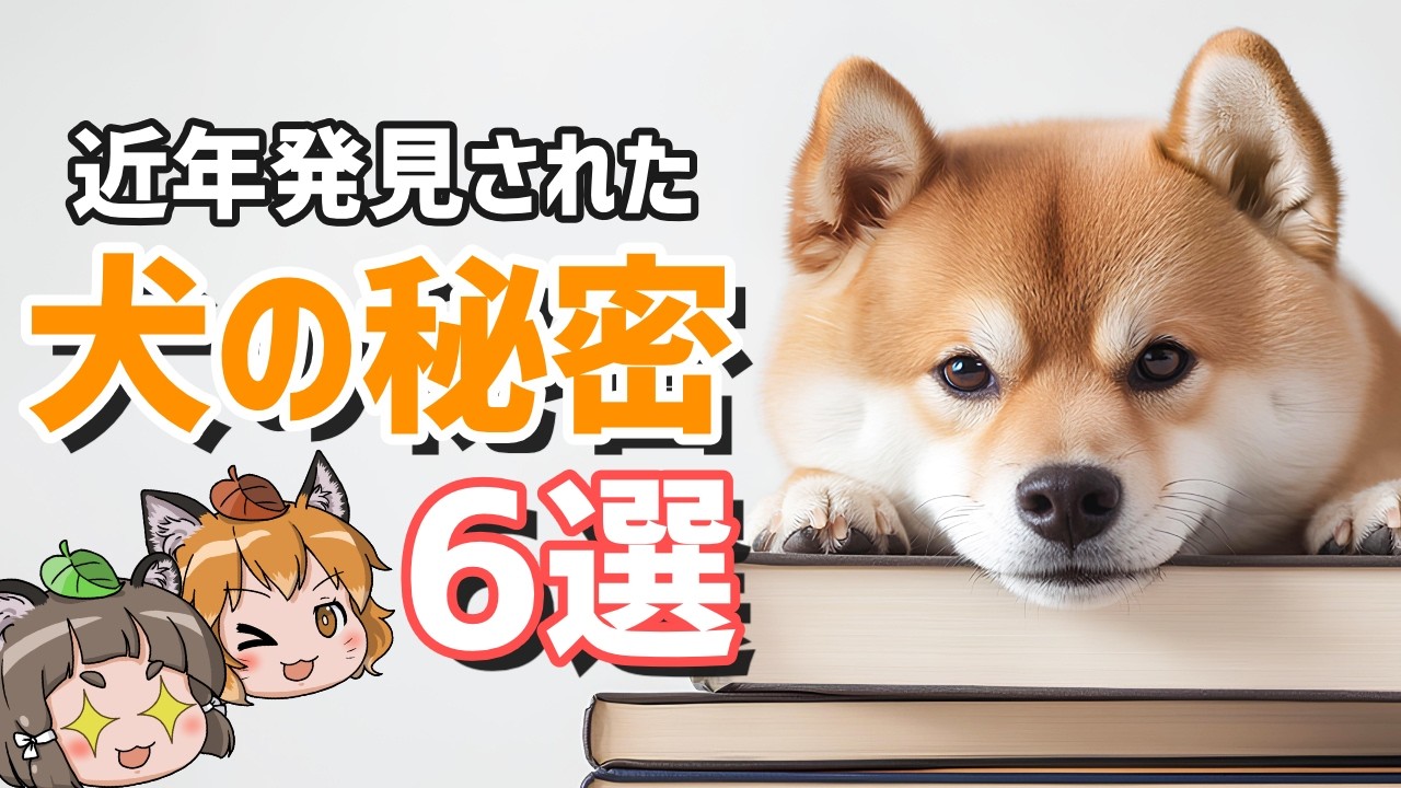 【9割が知らない】近年解明された！？驚きの犬の秘密6選