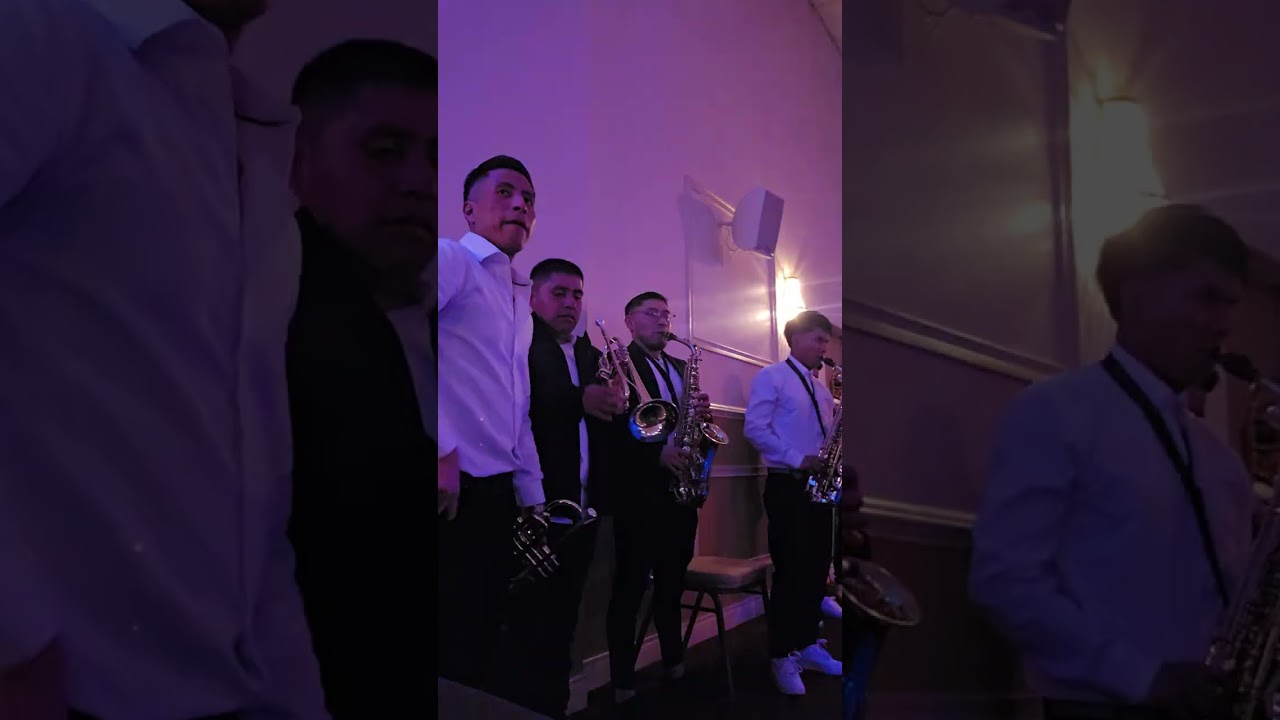 ELEGANTES DEL SABOR CHICAGO 🇺🇲