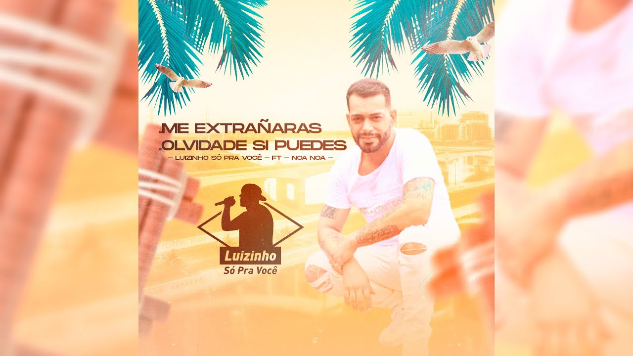 Me extrañaras  Olvidame si puedes - Luizinho Só Pra Você  ft  Noa Noa