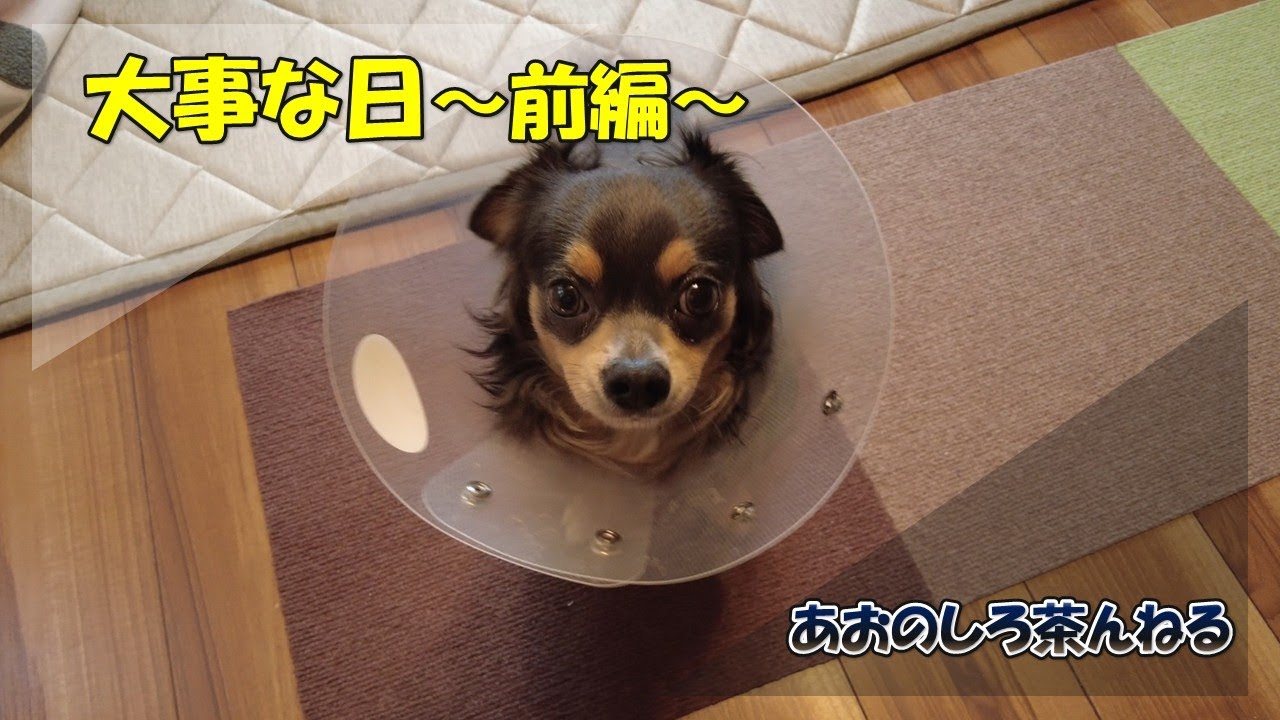 大事な日　～前編～