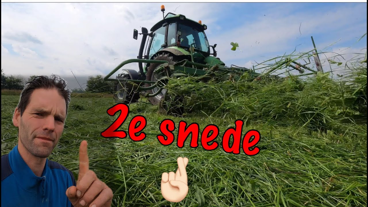 Het leed, dat de tweede snede heet&hellip;.