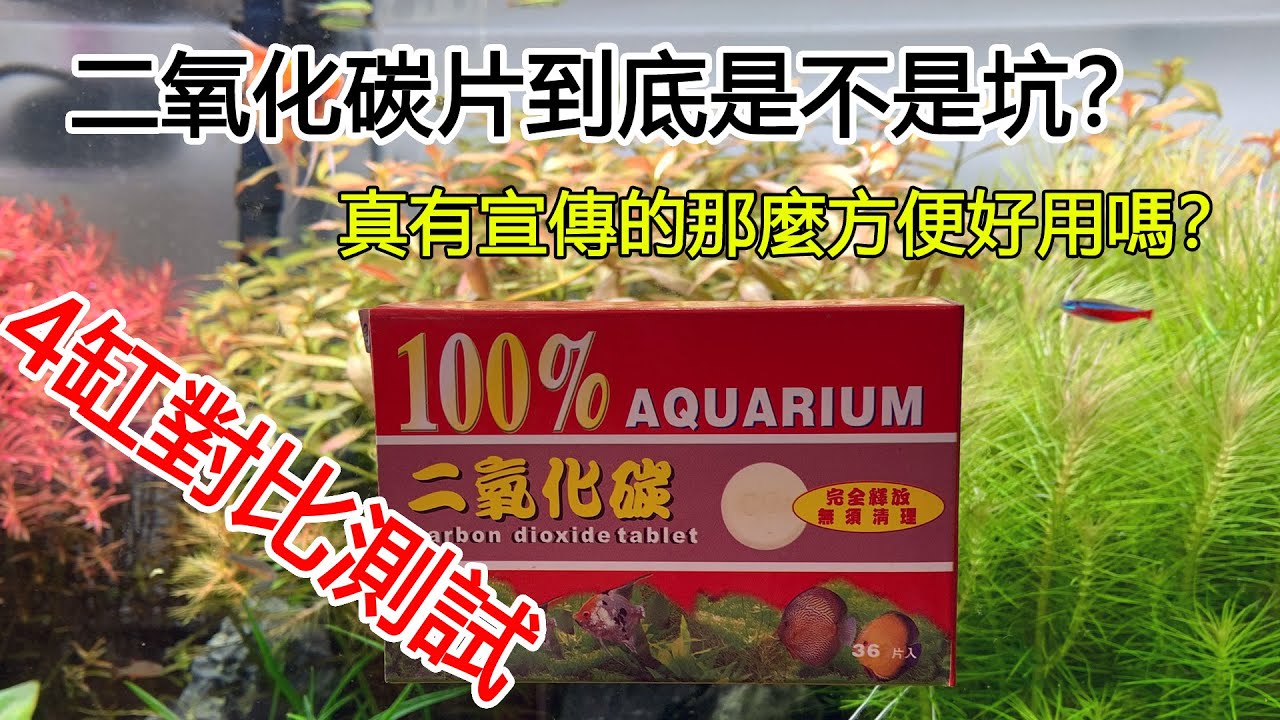 往草缸裡扔個藥片就有CO2，二氧化碳片到底是不是坑？真有宣傳的那麼方便好用嗎？|CO2 tablet culture aquatic grass test.