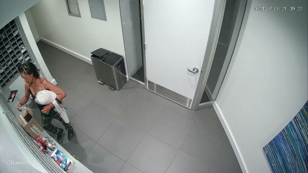 07 Jul 2024 - Unauthorized Access Due to Unverified Entry