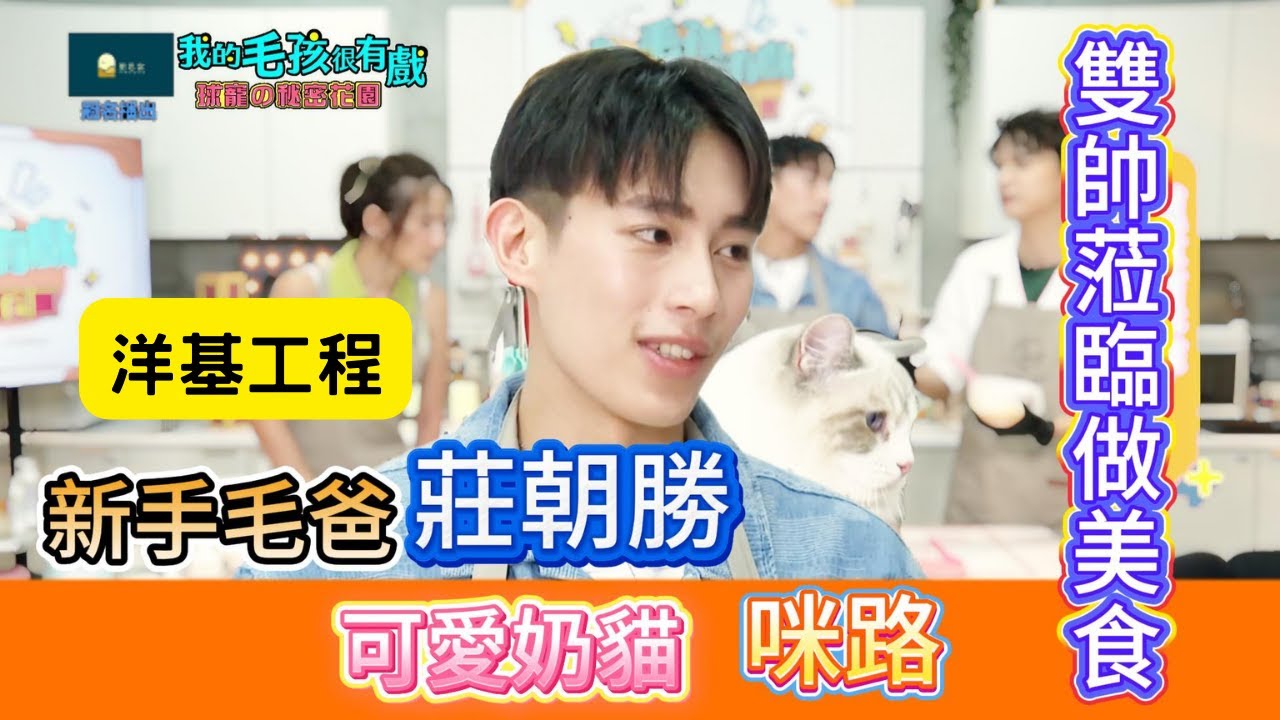 【我的毛孩很有戲第二季 】 EP8.新手毛爸莊朝勝與他的萌寵咪路雙帥蒞臨做美食 #莊朝勝 #洋基工程