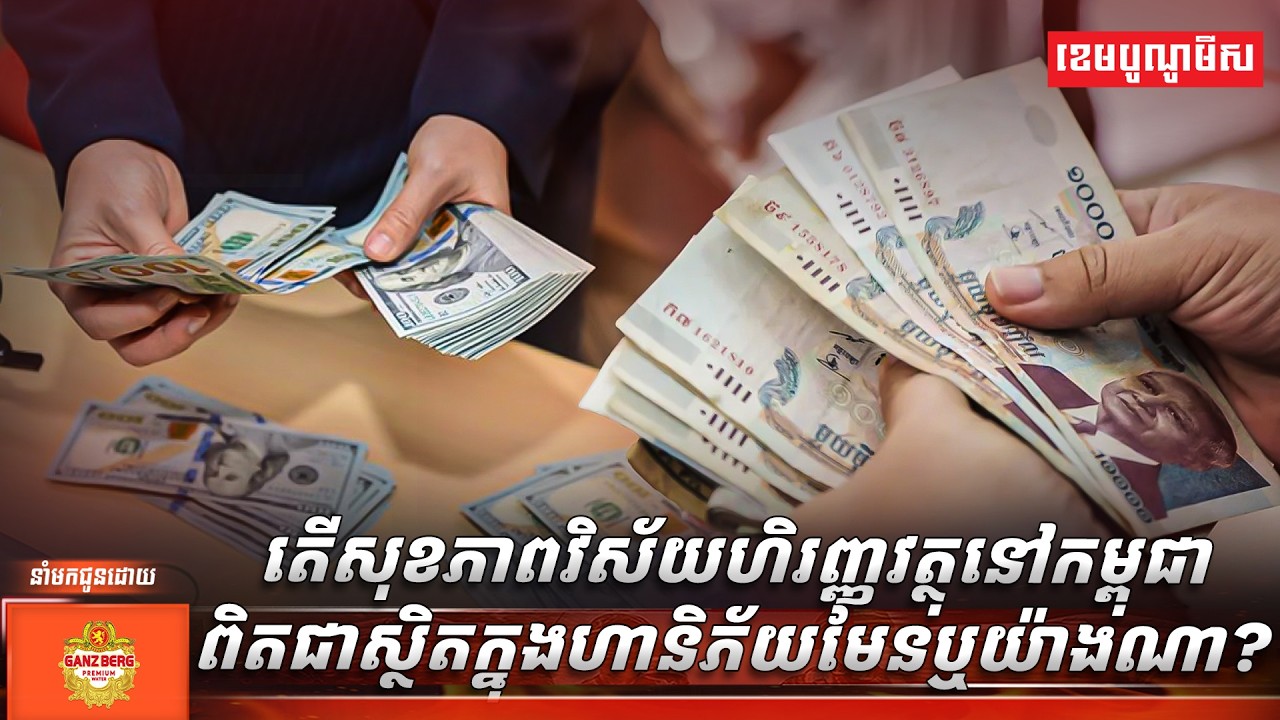 តើសុខភាពវិស័យហិរញ្ញវត្ថុនៅកម្ពុជាពិតជាស្ថិតក្នុងហានិភ័យមែនឬយ៉ាងណា?