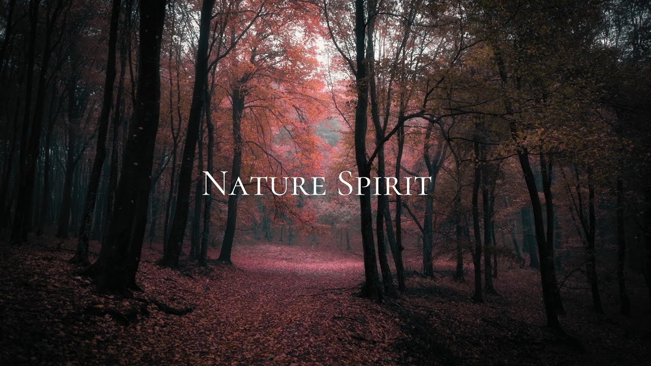 Nature Spirit- M&uacute;sica ambiental relajante - Nature Meditative Soundscape music ▶️