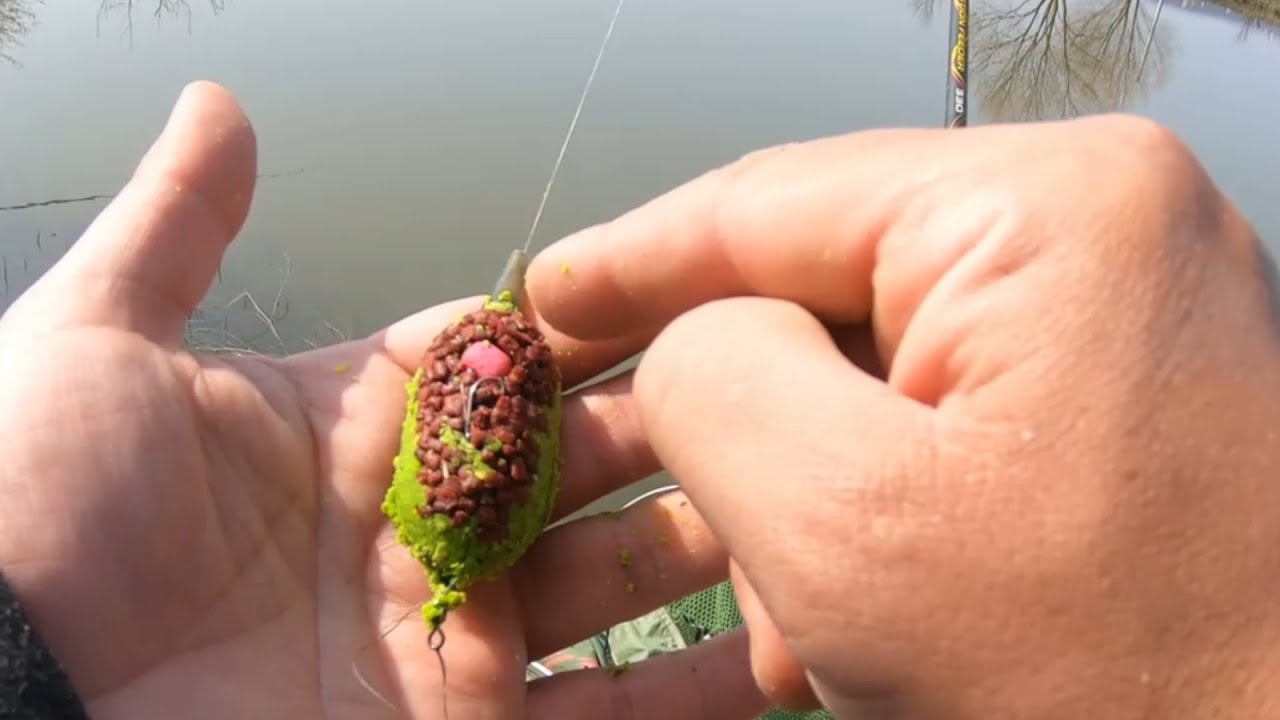 Partida scurta de pescuit la method feeder