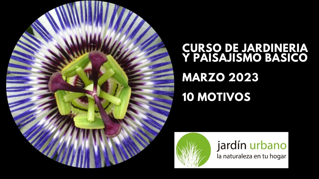 Curso de jardinería y paisajismo básicos Marzo -  2023