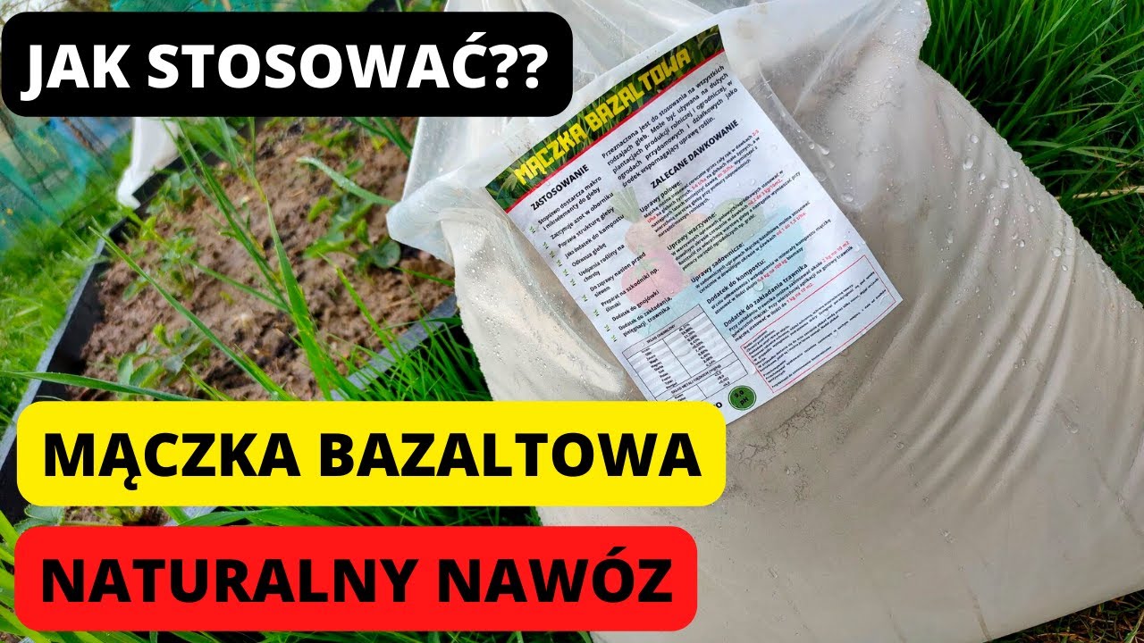 NATURALNY NAWÓZ MĄCZKA BAZALTOWA Jak stosować mączkę bazaltową? Kiedy stosować mączkę bazaltową #maj
