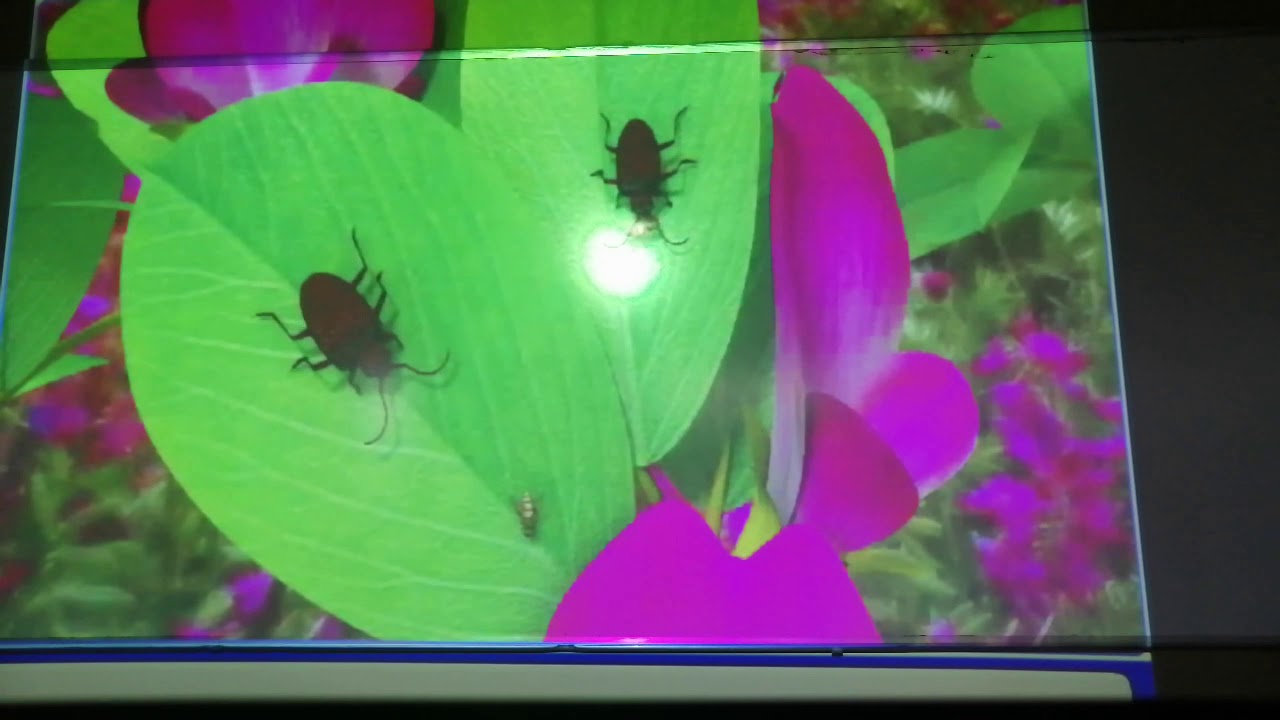 Microbes as biocontrol agents