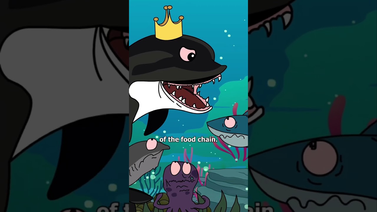 Orcas are gentle with humans&mdash;but ruthless to everything else. Apex predators with terrifying brains.