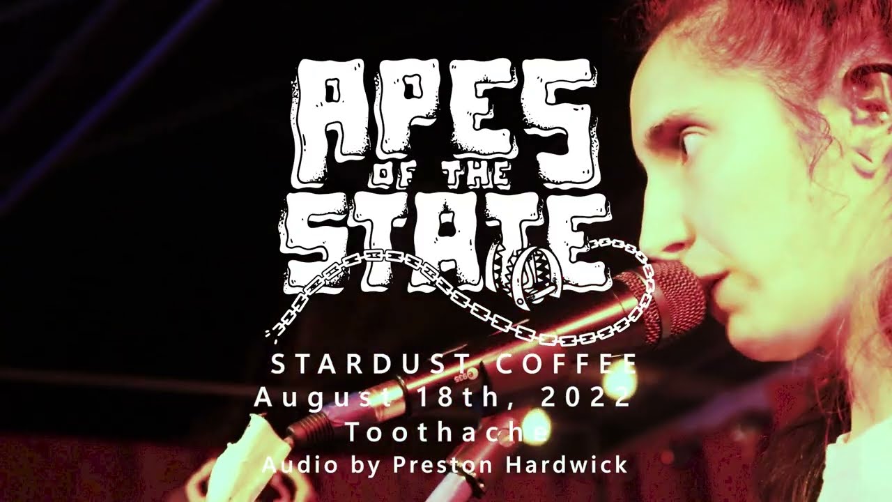 Apes of the State LIVE at Stardust // Toothache // BoH Live