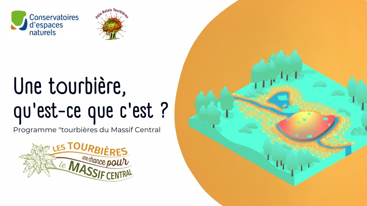 Une tourbière, qu'est-ce que c'est ? - Programme 
