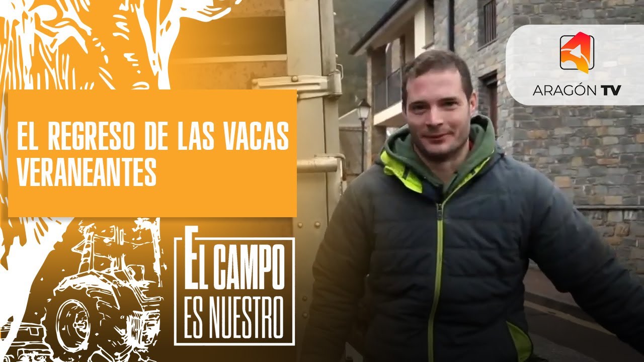 El regreso de las últimas veraneantes