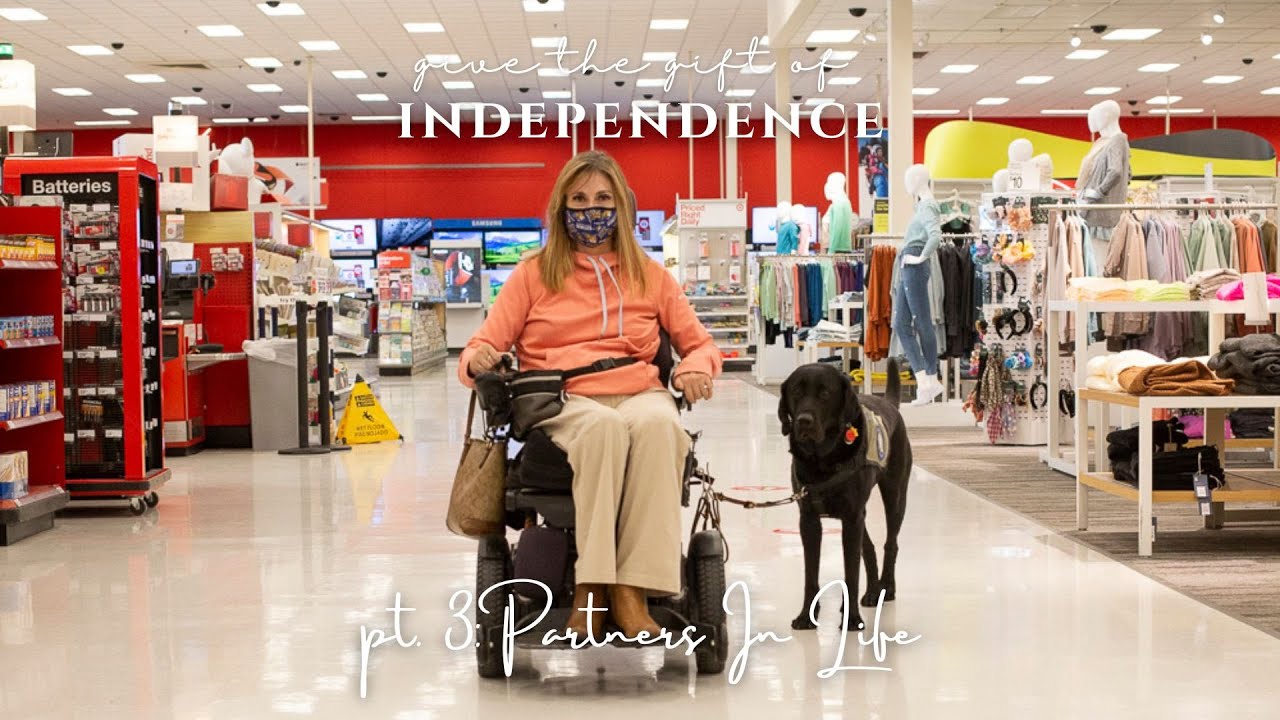 Partners In Life: A Life-changing Companion