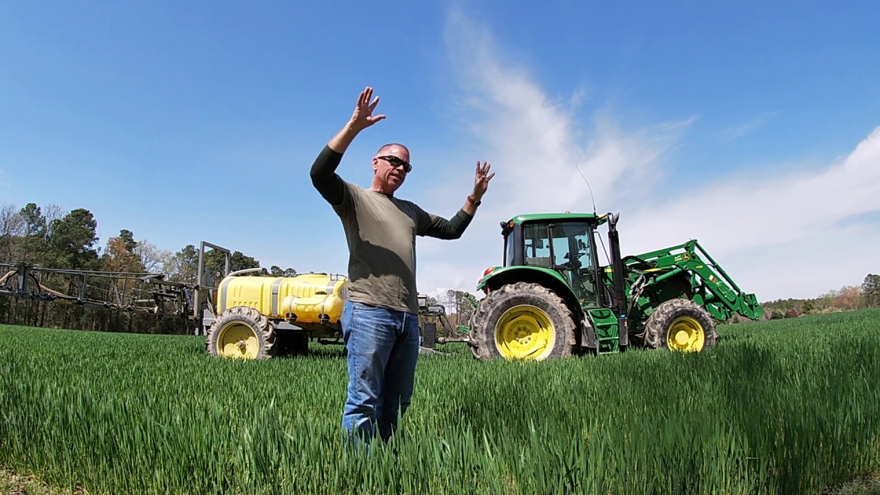 An Educational Video about Winter Wheat