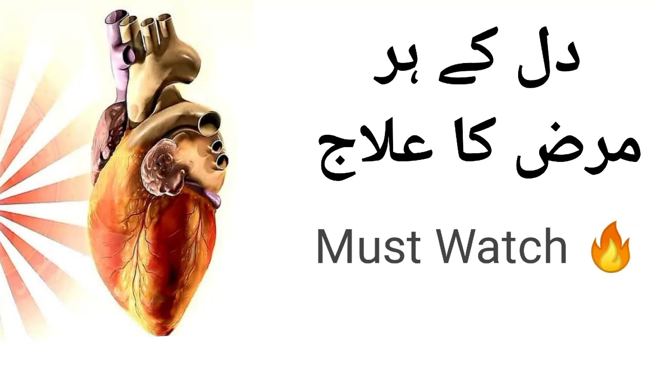 Dill ke her marz Ka ilaj Must Watch 🔥||islami 686