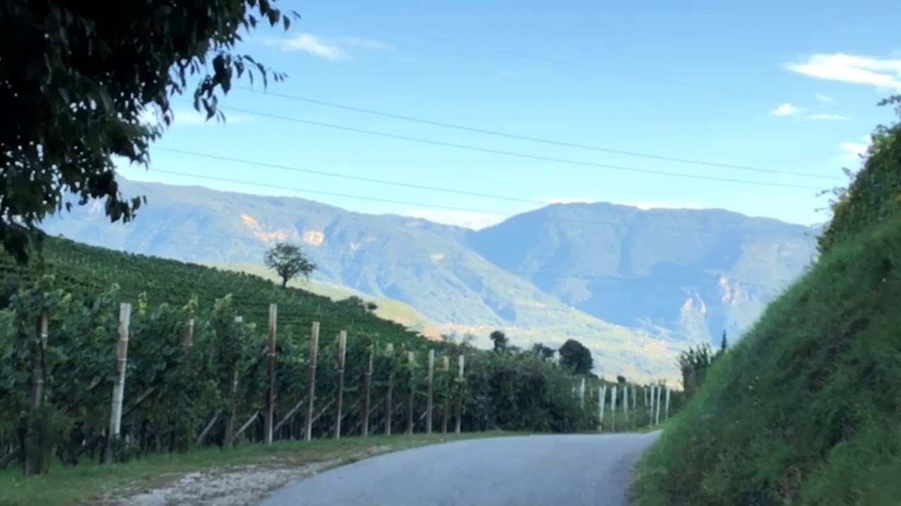 Weindoku: Unterwegs in Südtirol - Weingut Peter Sölva & Söhne