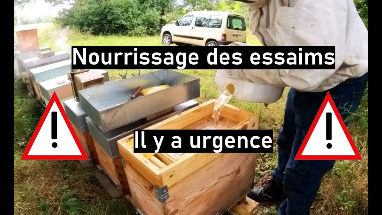 Saison 02 - épisode 28 : Nourrissage des essaims en urgence!