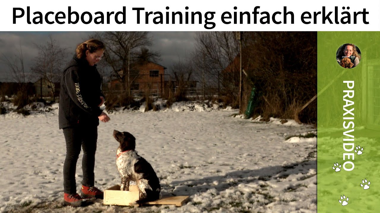 Placeboard Hund ➡️ Placeboard Training einfach erklärt ➡️ Praxisvideo ✔️