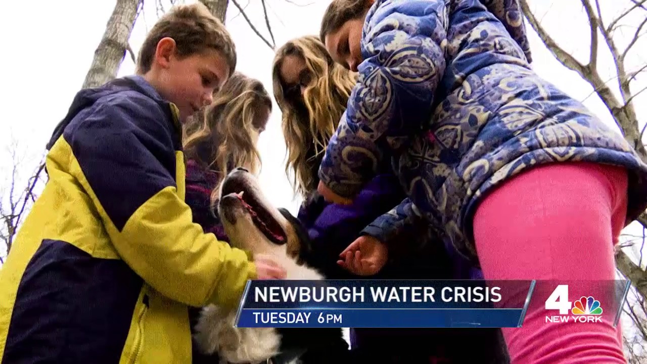 News 4 New York: 4 Investigates 