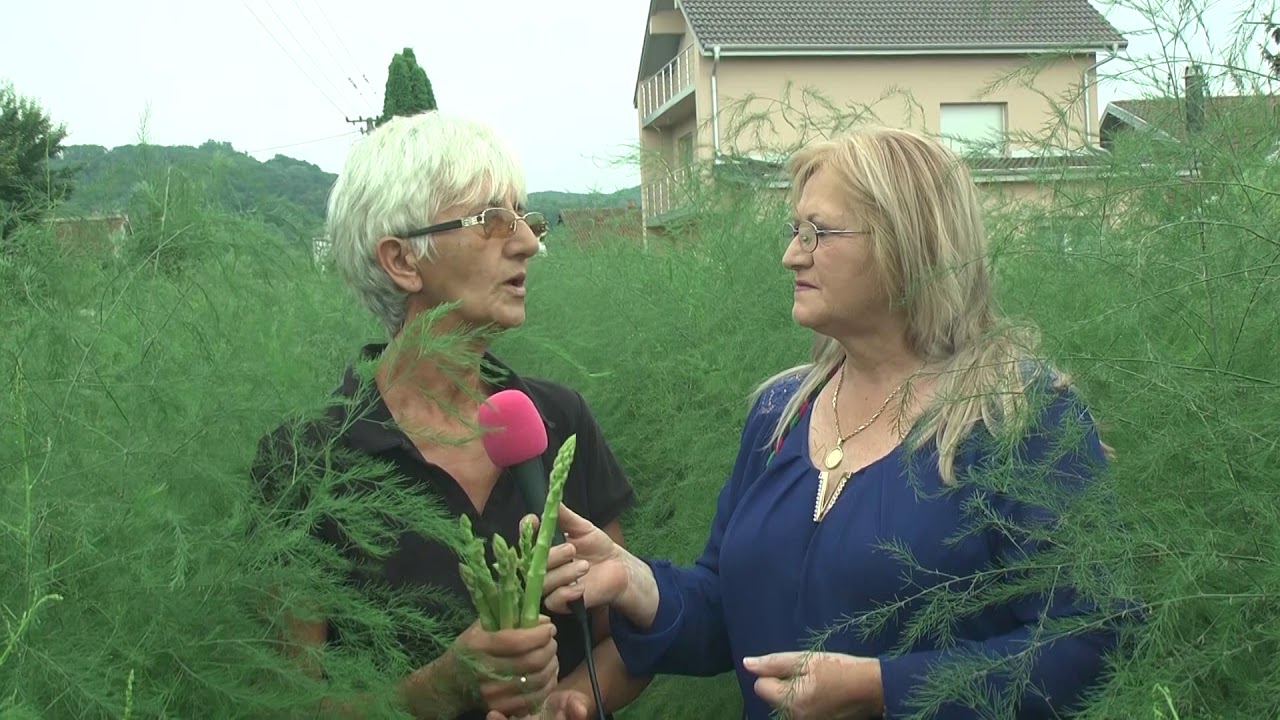 Spargla - Razgovori pokraj puta - Obicaji Radjevine - Dobrivoje i Dobrila Pantelic