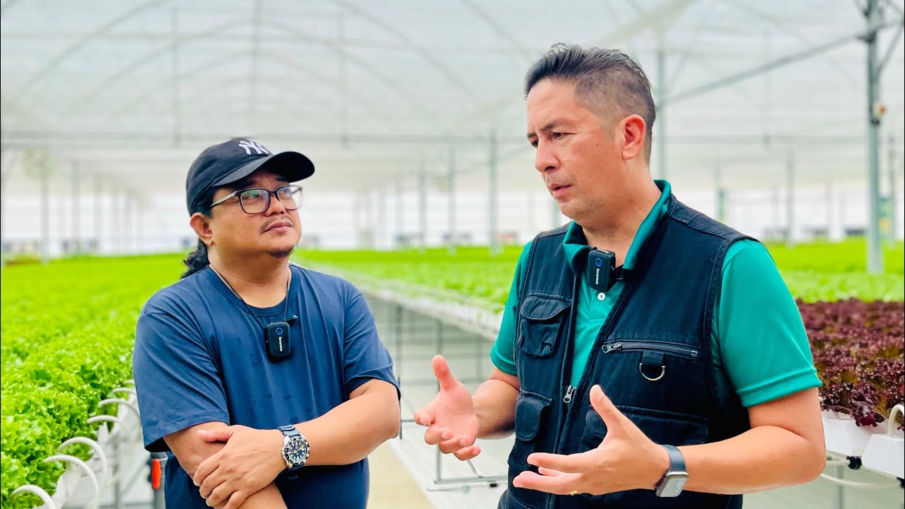 MVP Metro Pacific Fresh Farm: Israeli Tech Greenhouse, 500 Metric Tons Production, Nationwide Soon!