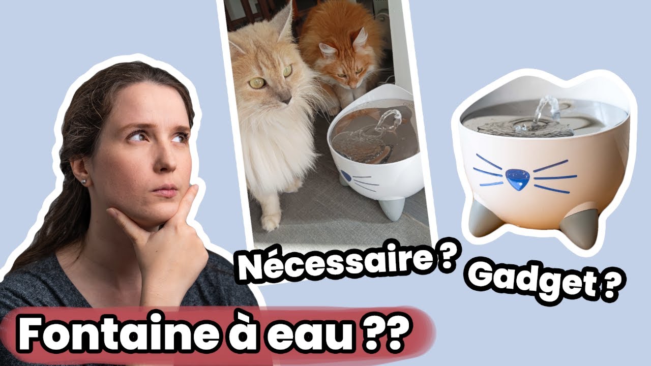 Je teste la fontaine à eau Pixi de Catit ! | Test & Avis