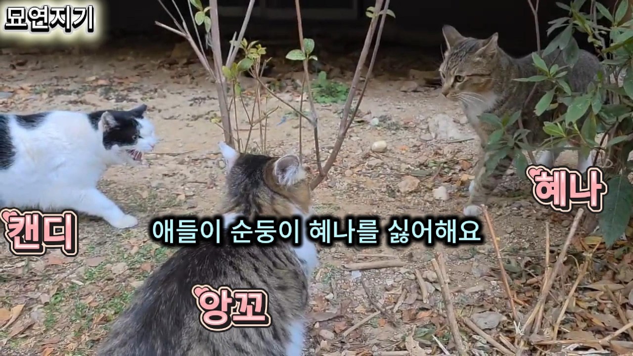 예뻐하는 애들끼리 사이좋게 지냈으면 좋겠어요 ^^