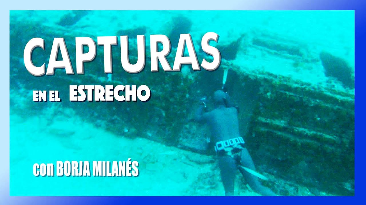 PESCA SUBMARINA CAPTURAS en el Estrecho con Borja Milanes
