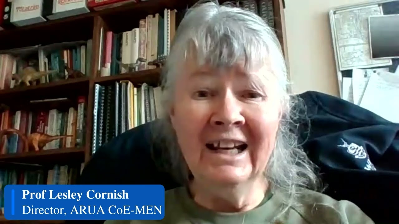 ARUA CoE-MEN MINI CONFERENCE 2022: Prof Lesley Cornish's Remarks