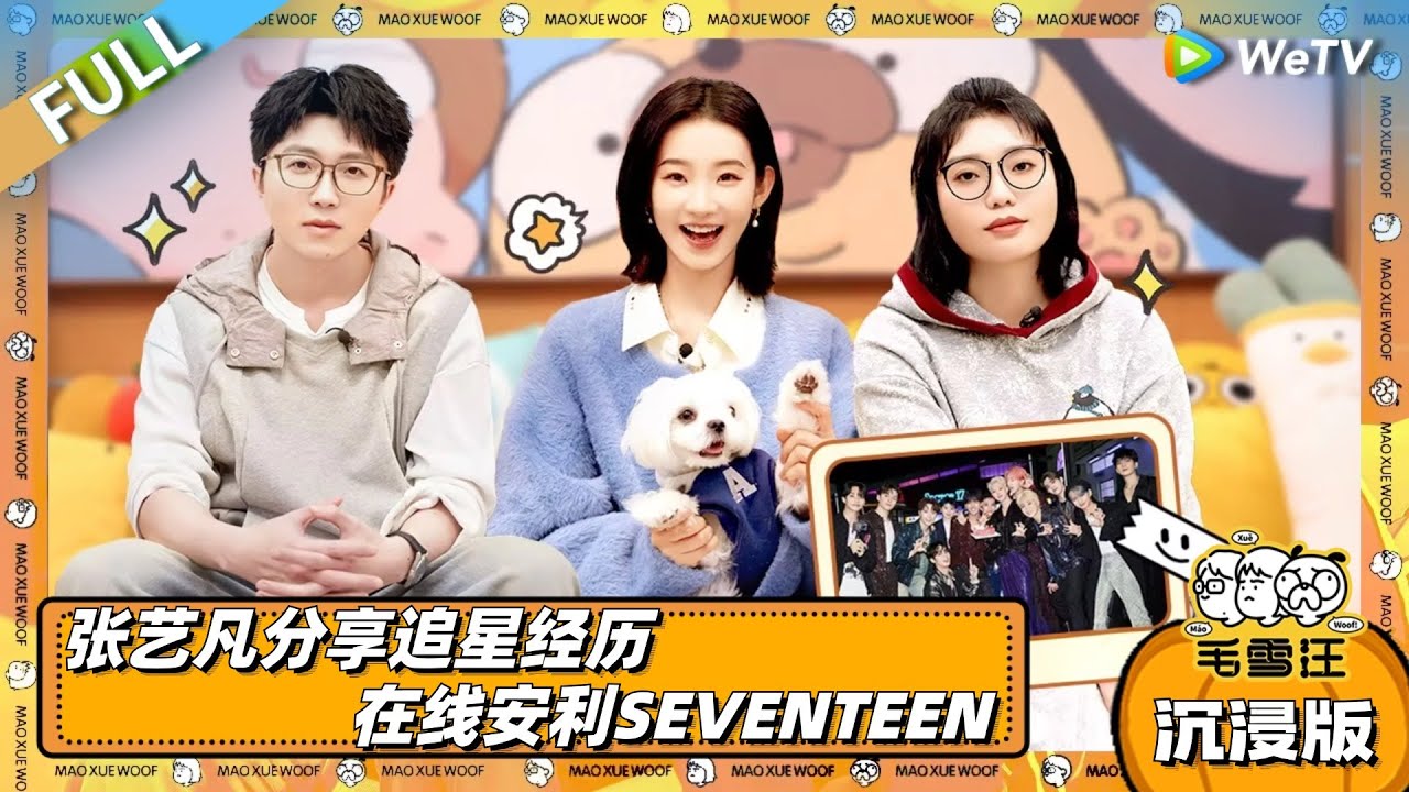 EP105超长沉浸版：张艺凡分享追星经历  在线安利SEVENTEEN！追星界经典问答它来了！|《毛雪汪》EP105 PLUS #综艺 #毛雪汪 #李雪琴 #毛不易 #张艺凡