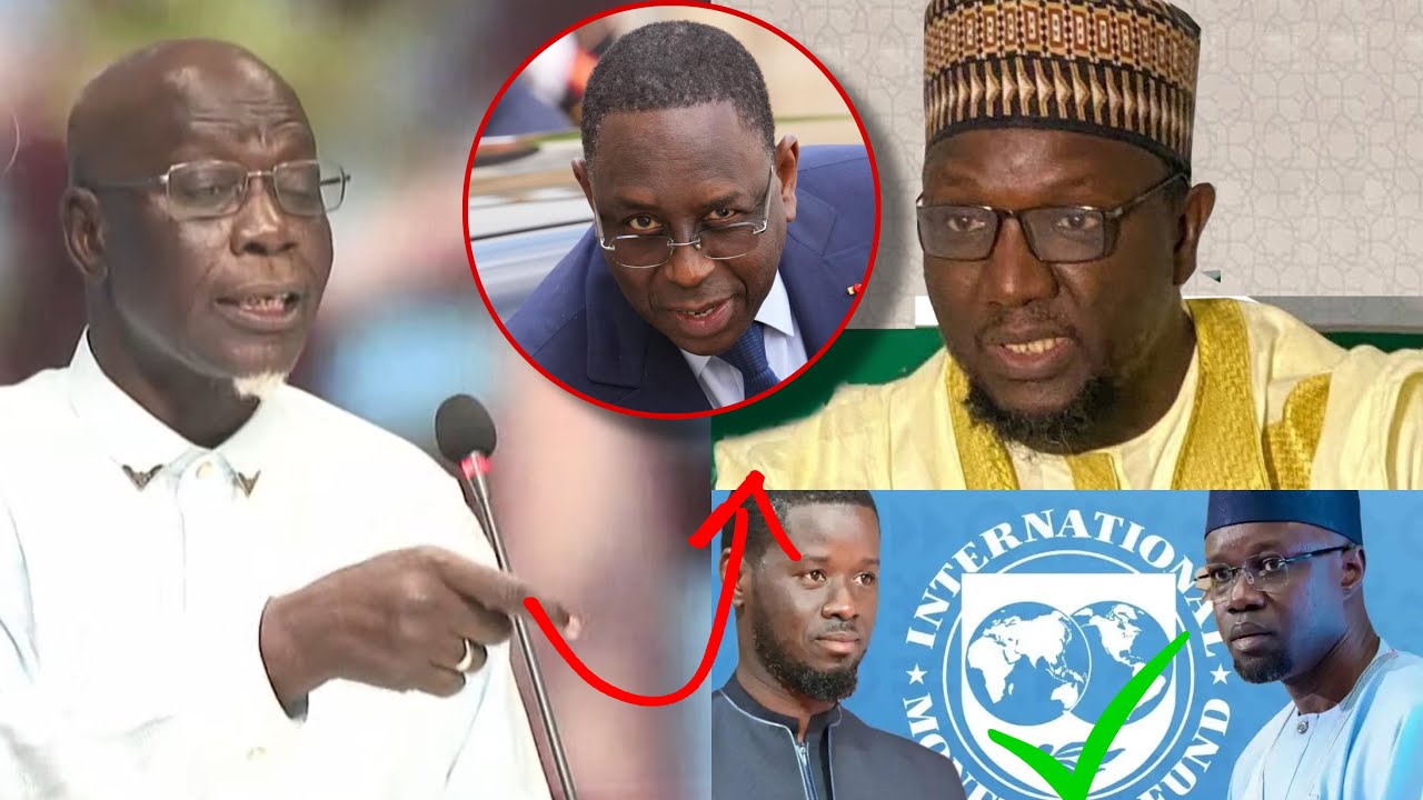 Fall Mao Tass na Deal entre Cheikh Omar Diagne et Macky«Lep ler na..Litax bi FMI confirme Sonko..