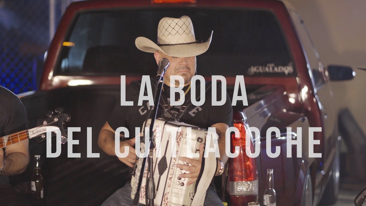 Los Igualados - La boda del Cuitlacoche (En Vivo)