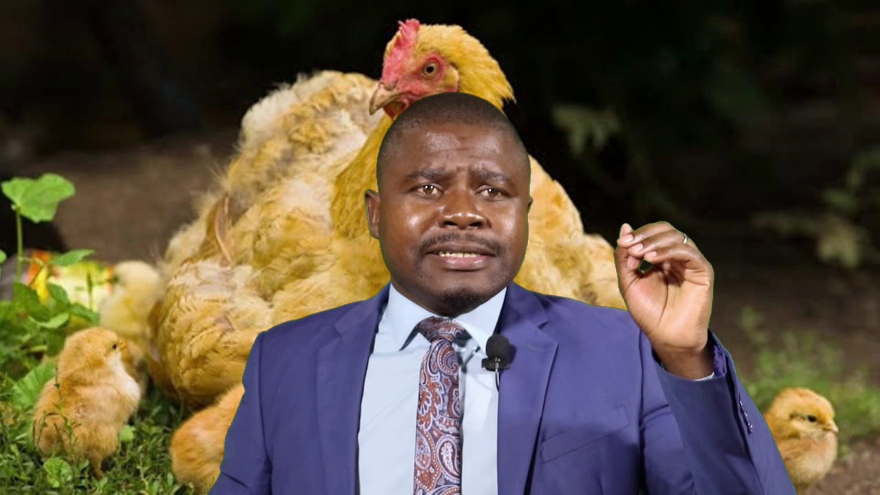 Ps Shoko and family || Title : Mrs Chicken || Children's sermon || Date: 11 July 2020 || Time 10:45