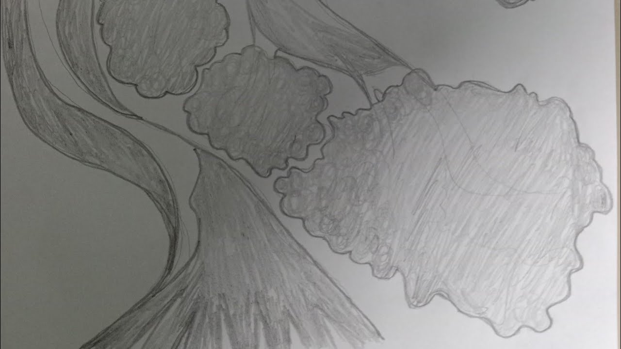 membuat sketsa bonsai