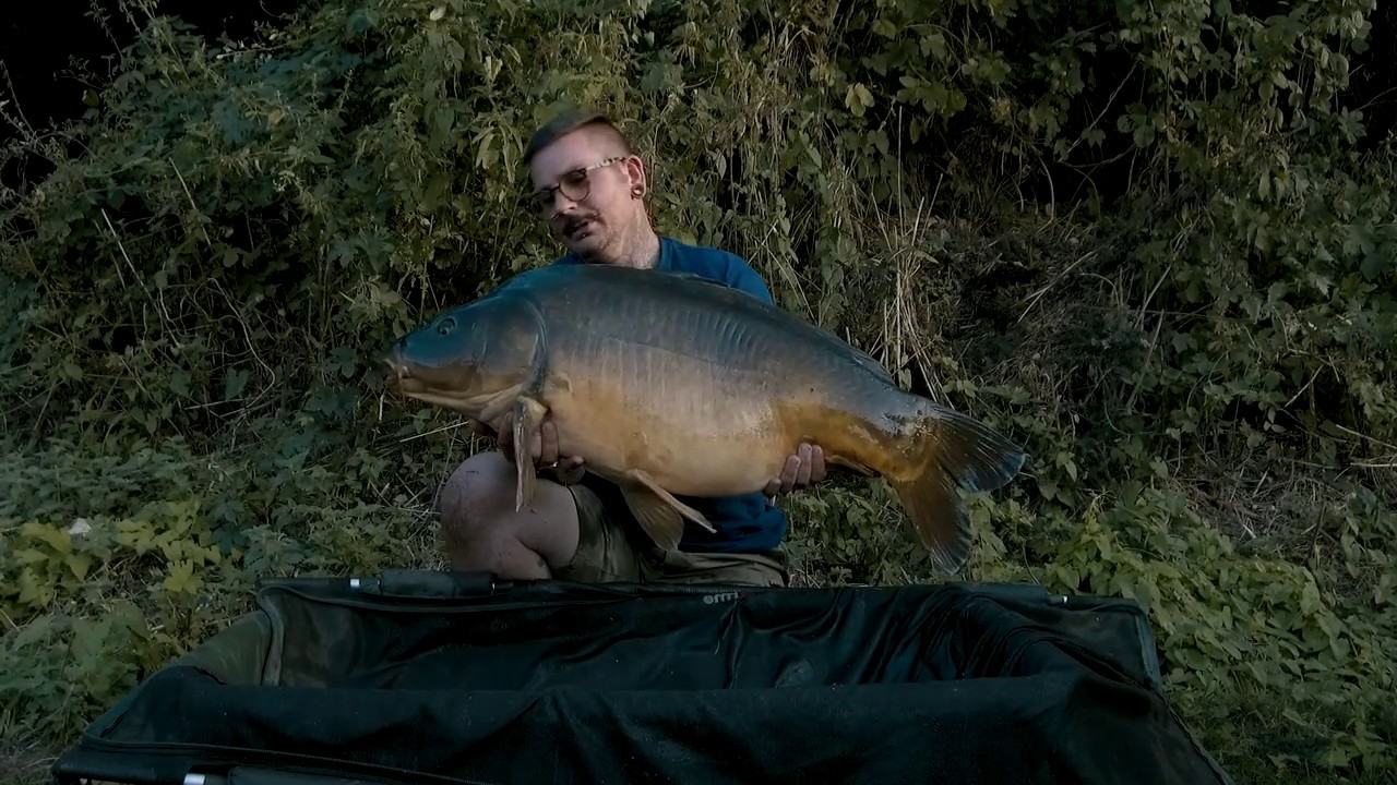 MASSIVE CARP caught from small lake