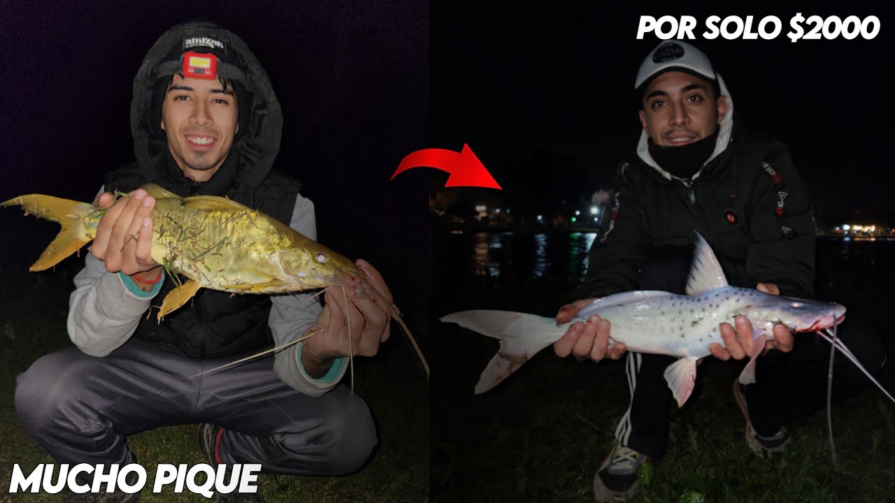 LUGAR ECON&Oacute;MICO PARA PESCAR, AC&Aacute; SE PESCA DE TODO! Pesquero lo de Dai, Baradero.