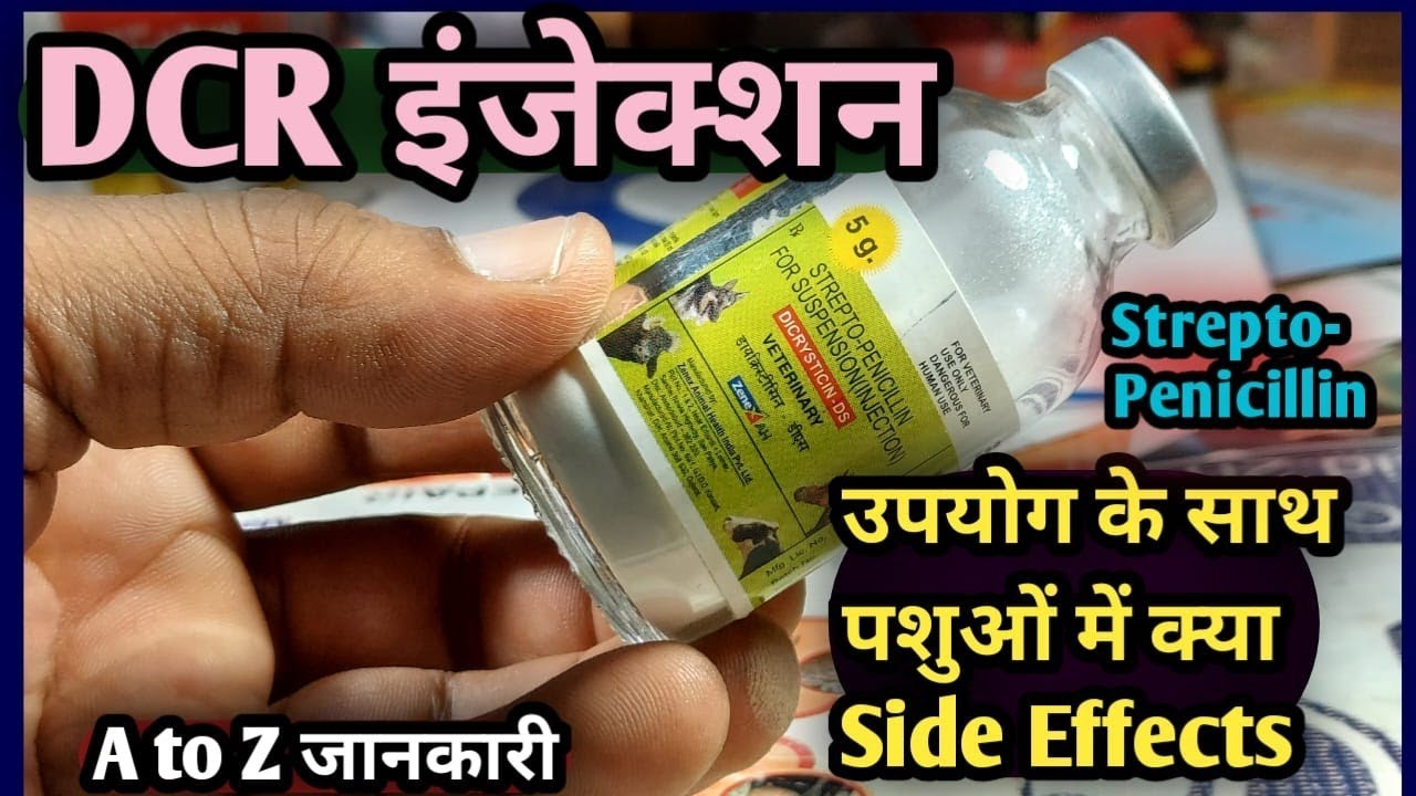 DCR injection Strepto Penicillin का उपयोग के साथ पशुओं में क्या Side effects कब कैसे कौन सी बीमारी