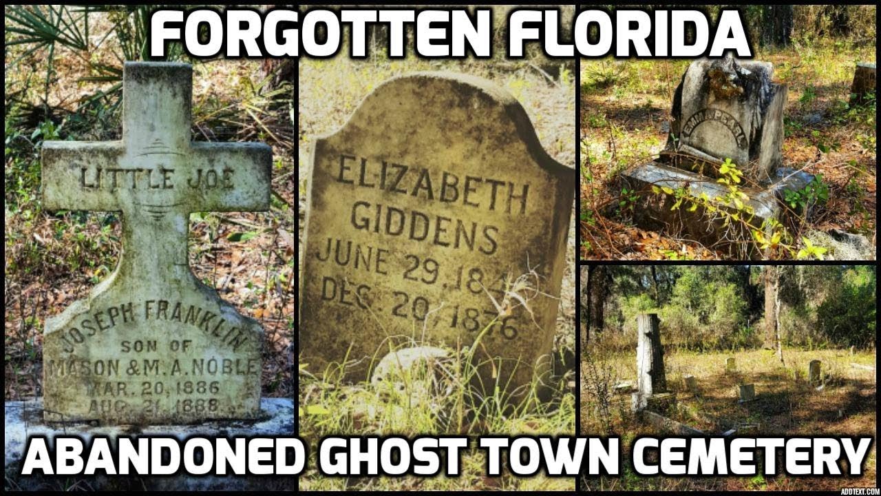 Exploring the Oriole Cemetery in the Withlacoochee Forest