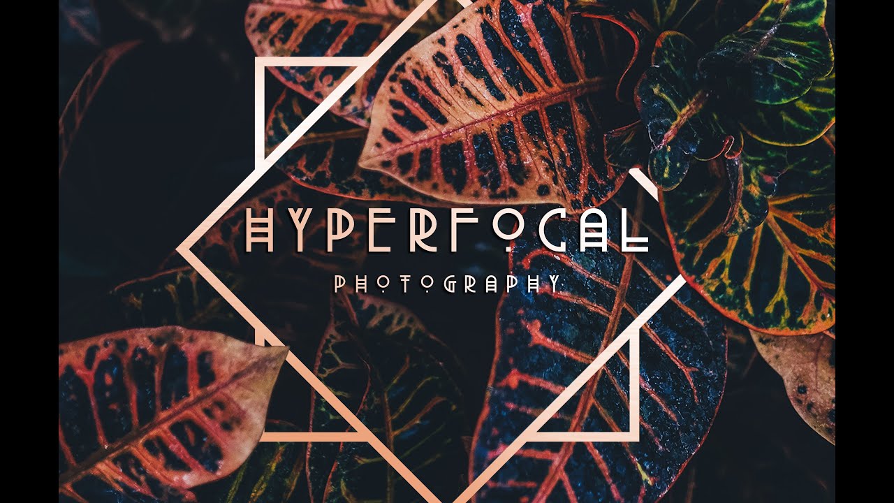 Hyperfocal Marketing Kit Tutorial