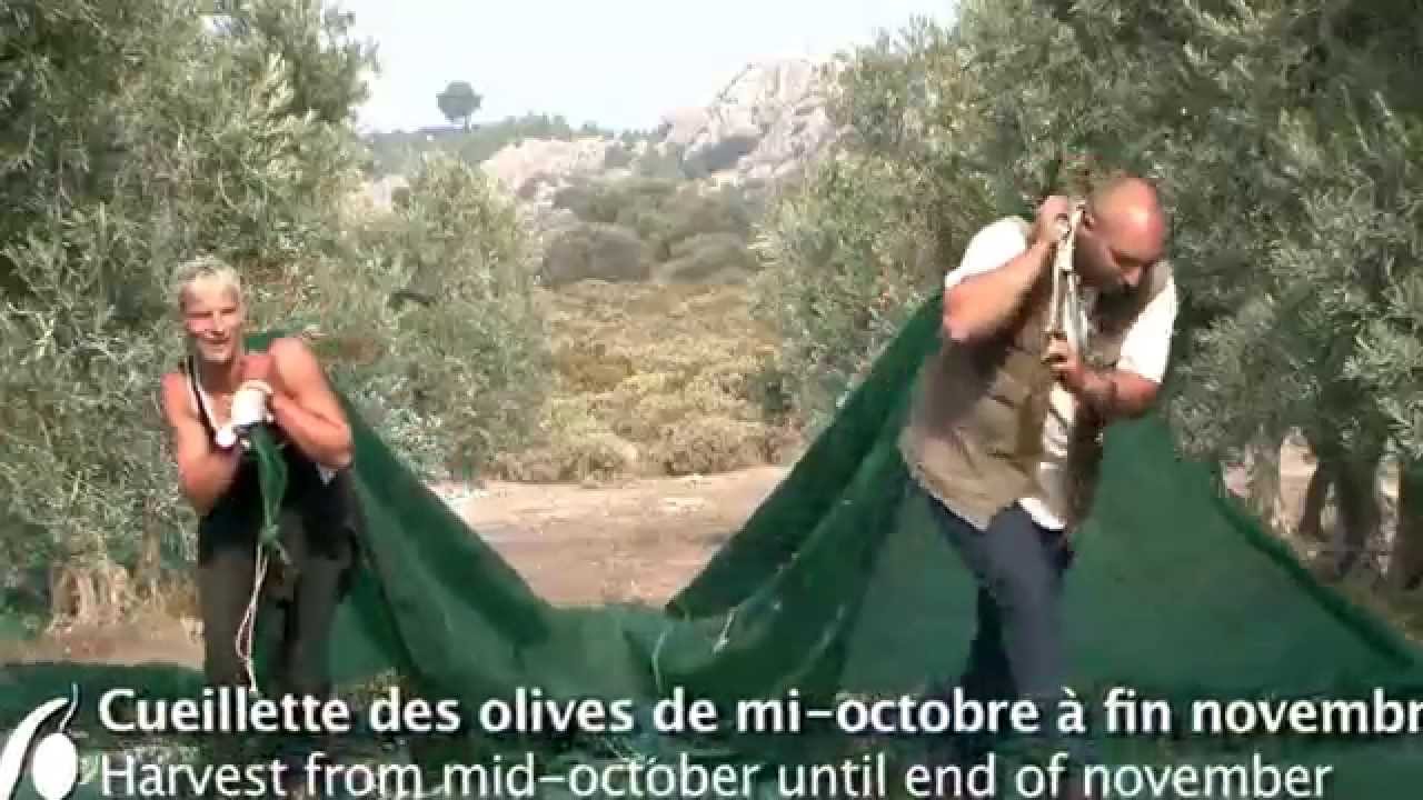 Le Moulin Castelas