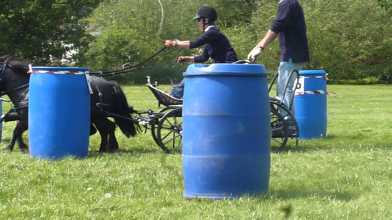 Alfie & Wally entering obstacle no 1 at WDDC Spring Camp 2014