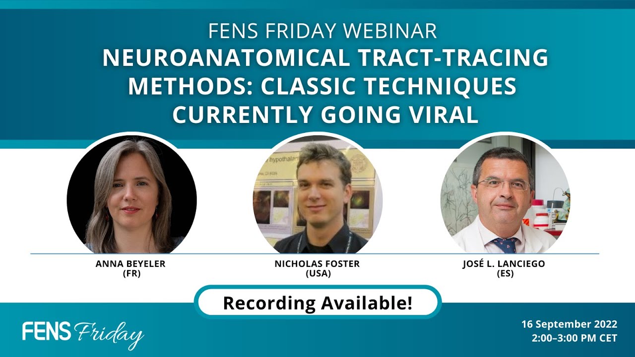 Neuroanatomical tract-tracing methods: classic techniques currently going viral