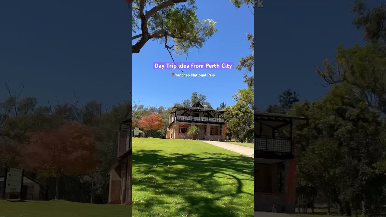 Day Trip idea from Perth City, Yanchep National Park #kangaroo #nationalpark #perth