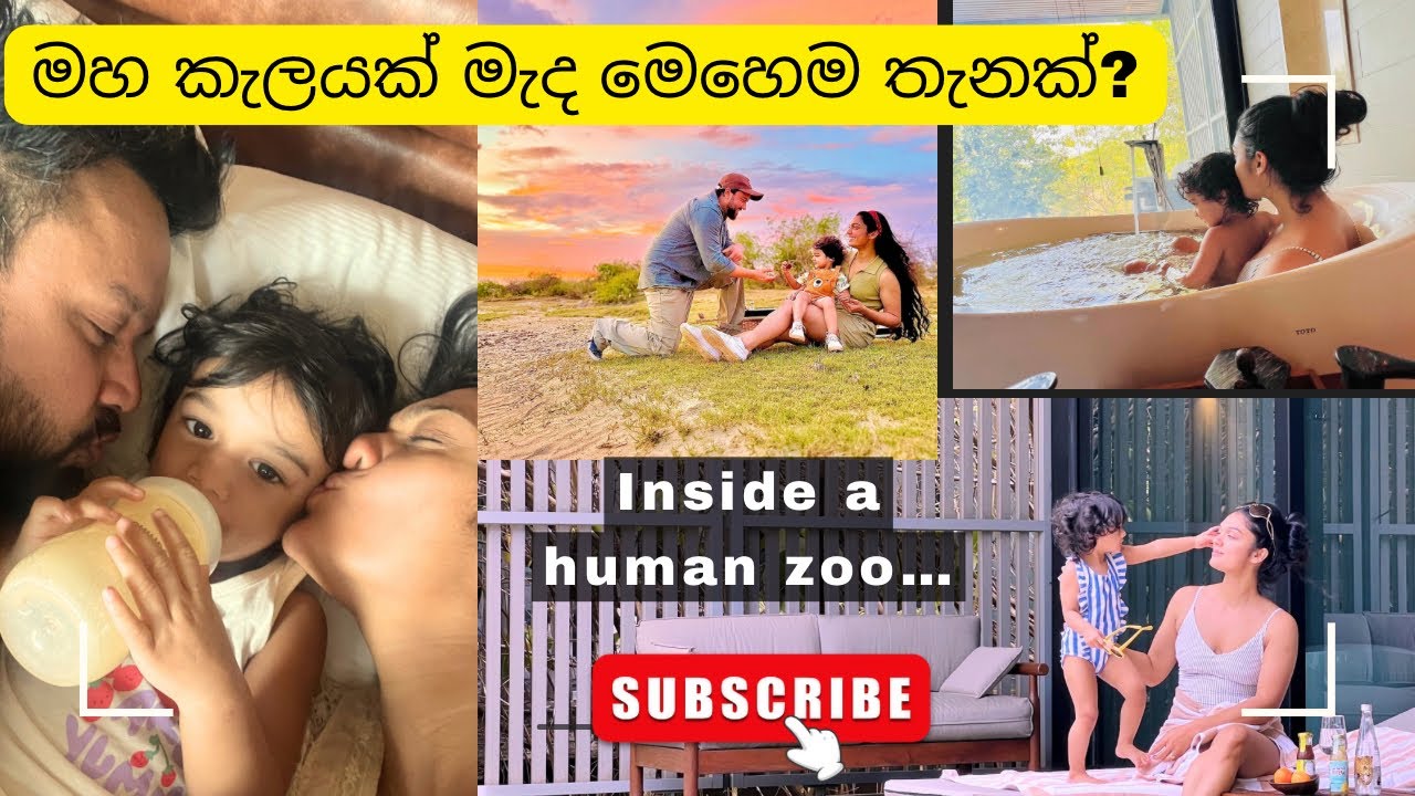 මහ කැලය මැද ගෙවුනු අමුතු දවස්… 🥵❤️✨ #travelvlog #familytrip #yala