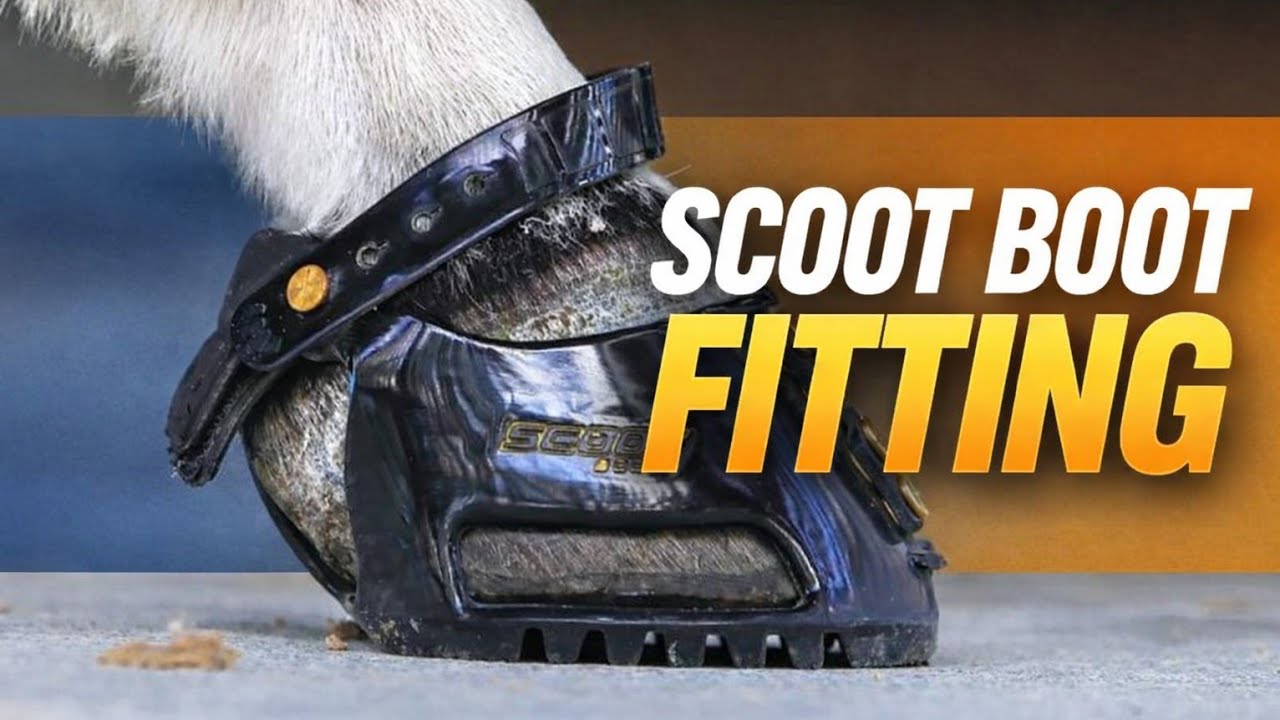 Fitting new Scoot Boots to Shalico