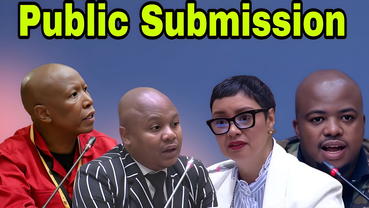 Ad Hoc Committee: Public Submissions.