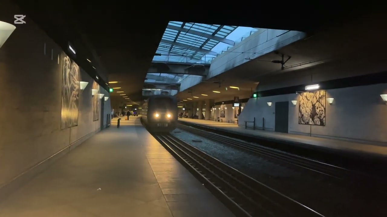 Trains at CPH lufthavn and Høje Taastrup #trainspotting #train #railway #railwayline #dsb #trainline