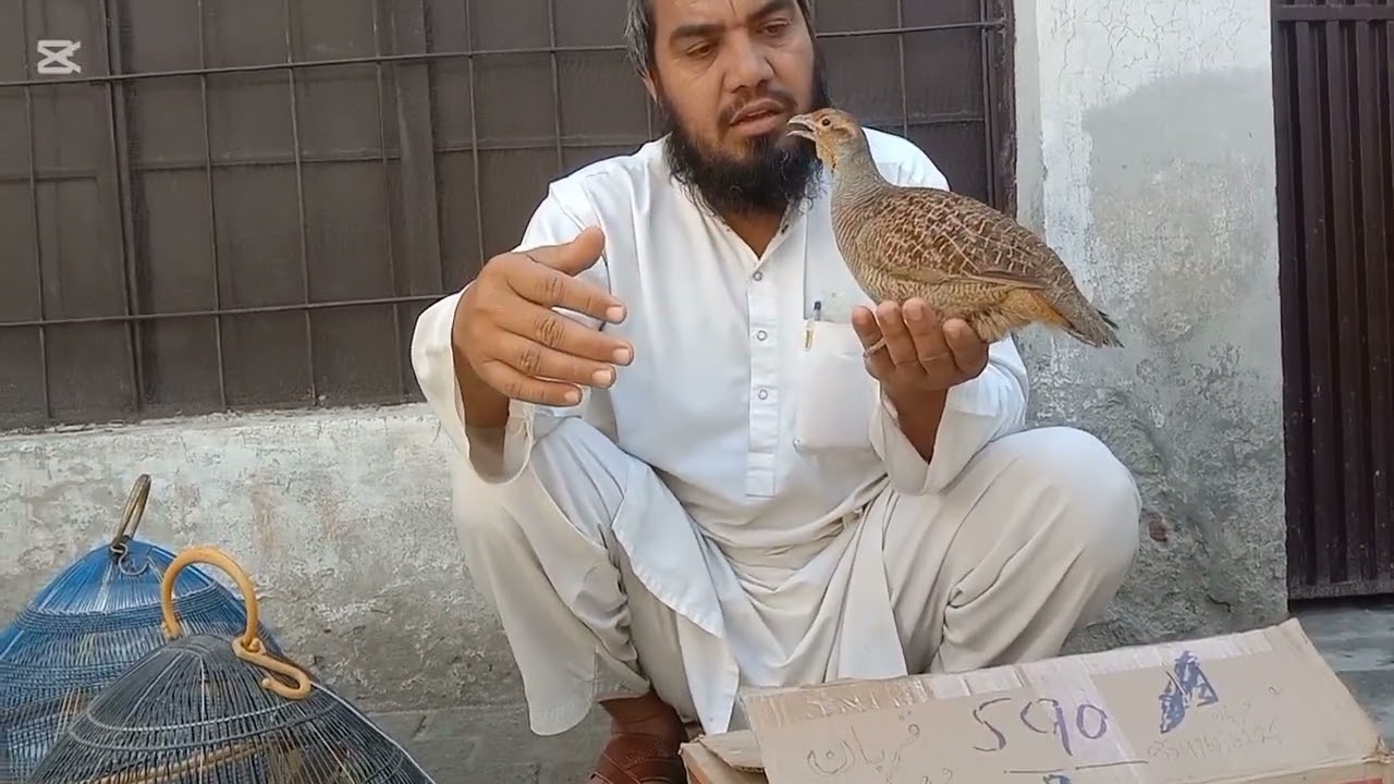 اللہ پاک بھائی قربان کو نصیب کرے